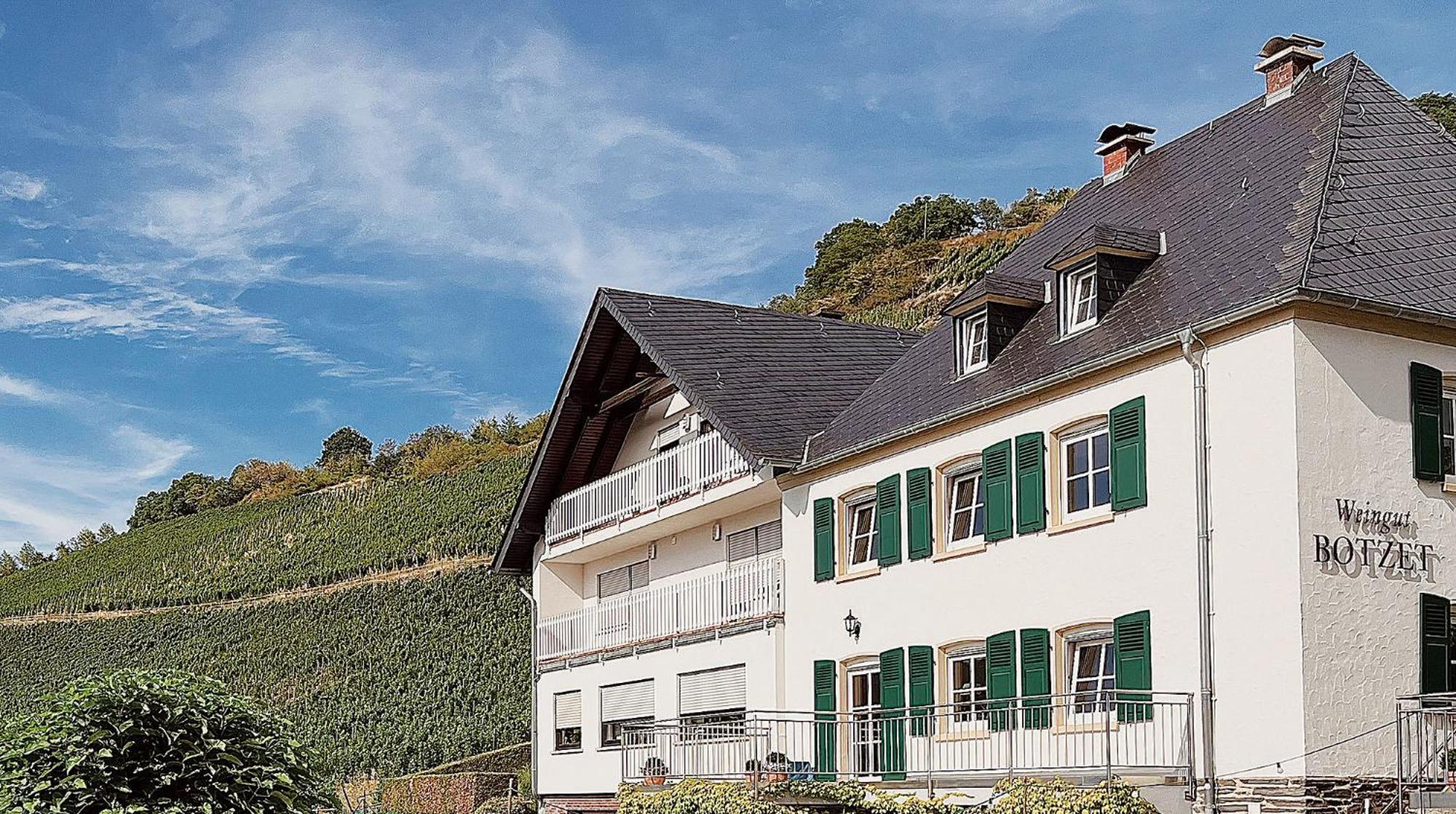 Pension 1595 Im Weingut Botzet Maring-Noviand Buitenkant foto